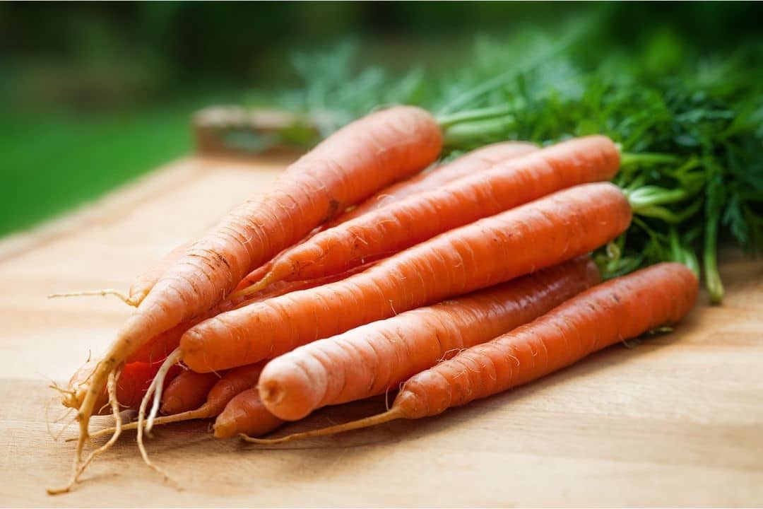 Best Summer Foods for Health Carrot