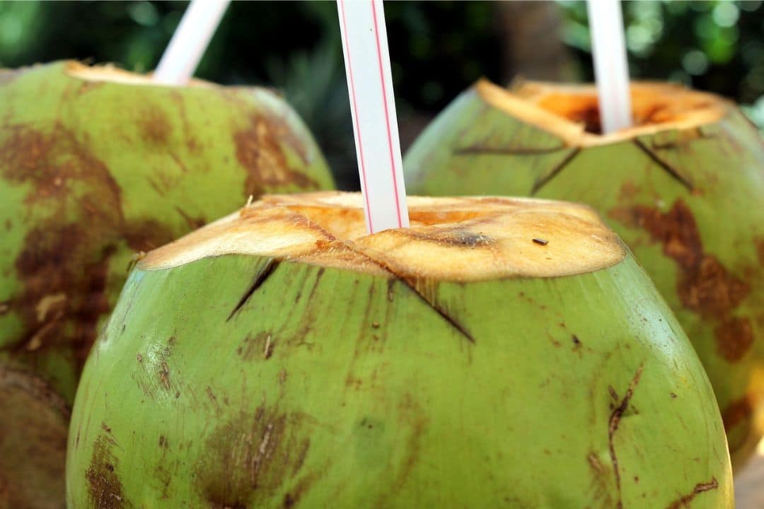 Best Summer Foods for Health Coconut