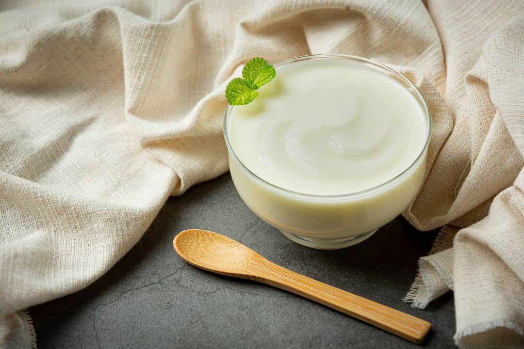 Best Summer Foods for Health Curd